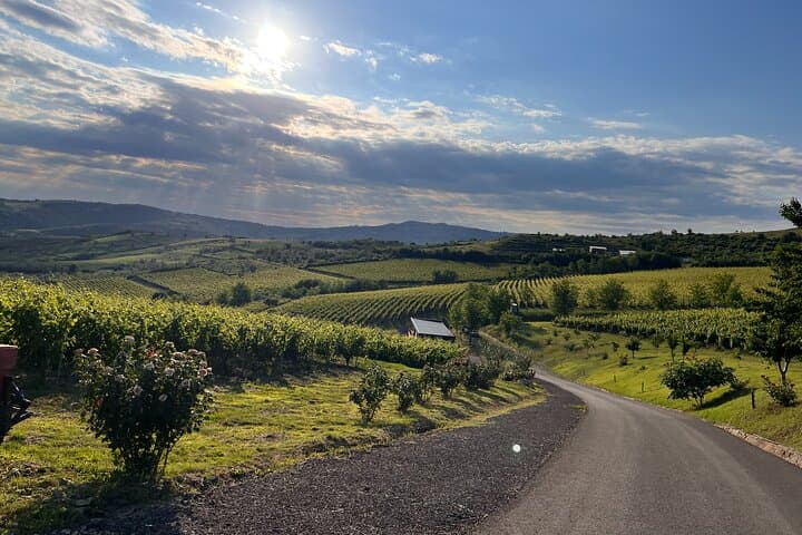 Dealu Mare Bike & Wine Escape: 2-Day Cycling Through Romania's Red Hills