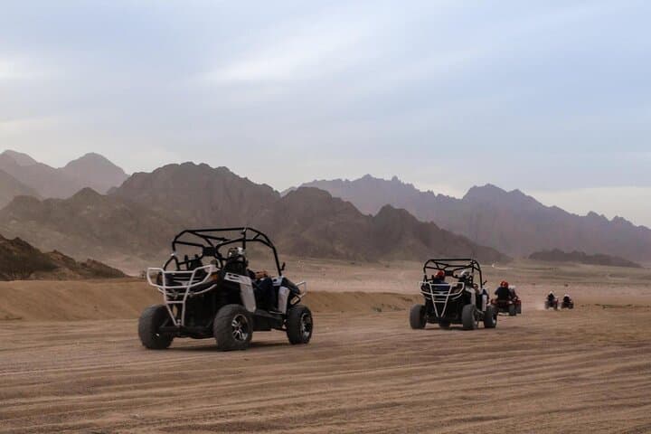 Sunset Desert Buggy Safari in Sharm El Sheikh: Echo Caves & Bedouin Tea photo 5