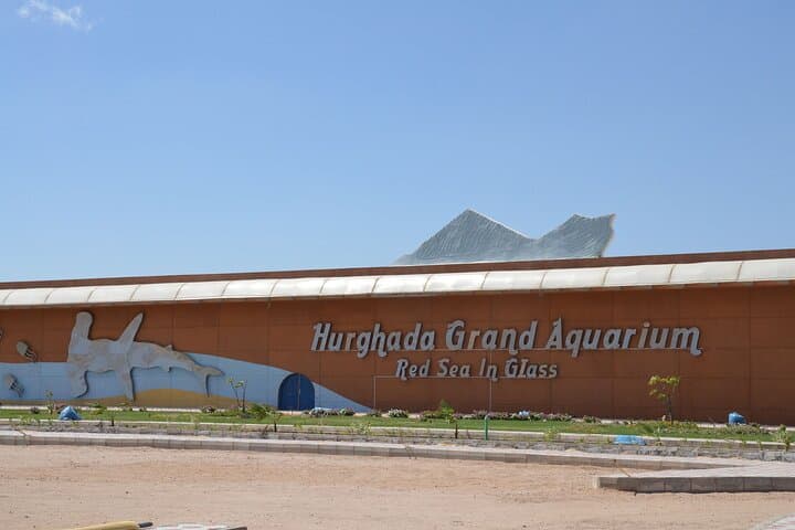 Inside Hurghada Grand Aquarium: Walk the Red Sea in Glass