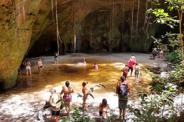 Day Trip to Presidente Figueiredo: Waterfalls, Caves & Jungle Walks from Manaus photo 2