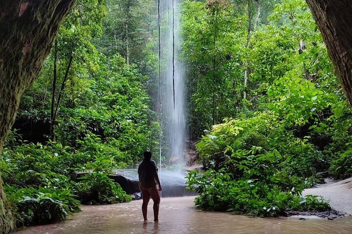 Day Trip to Presidente Figueiredo: Waterfalls, Caves & Jungle Walks from Manaus photo 3