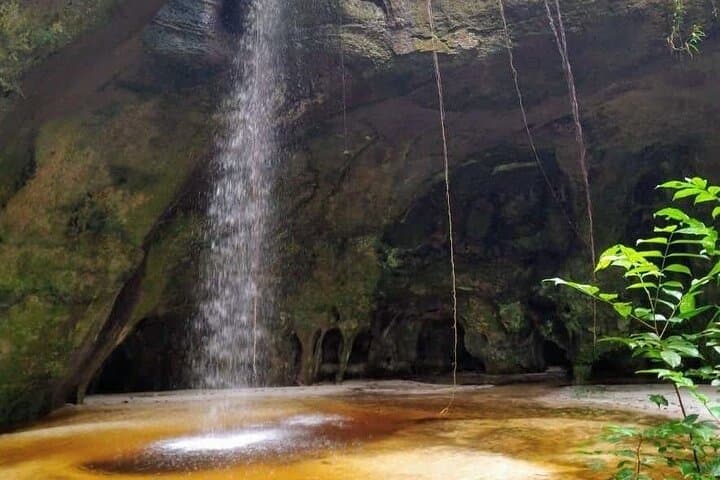 Day Trip to Presidente Figueiredo: Waterfalls, Caves & Jungle Walks from Manaus photo 4