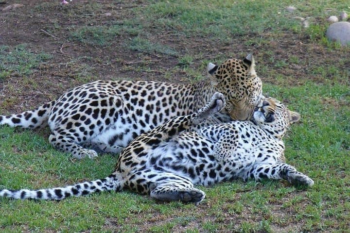 2-Day Private Garden Route Adventure from Cape Town: Bungee, Caves & Tsitsikamma photo 3