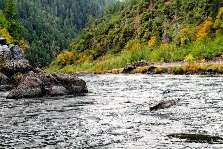 Multi-Day Whitewater Fishing and Rafting on Oregon’s Rogue River photo 3