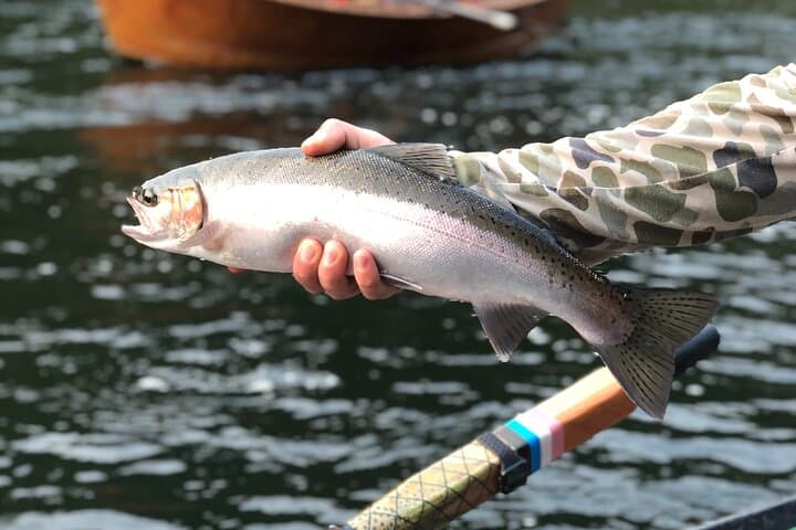 Multi-Day Whitewater Fishing and Rafting on Oregon’s Rogue River photo 6