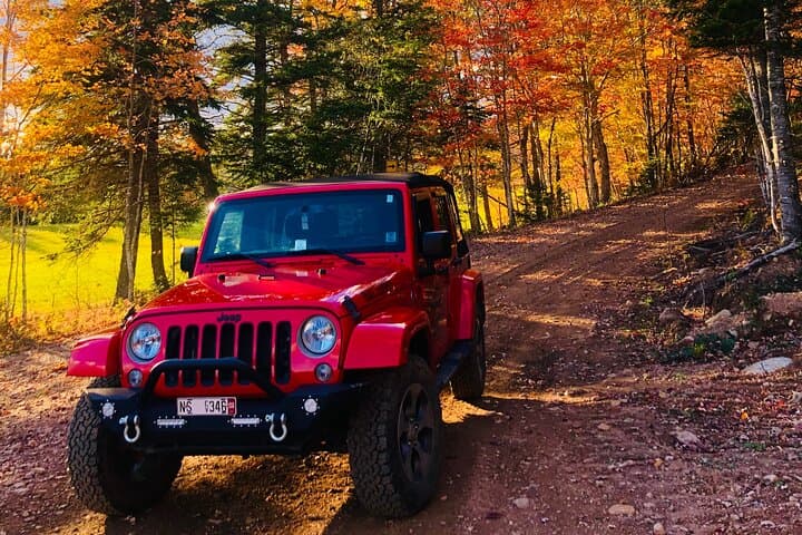 Off-Road Cape Breton: Private Margaree Valley Jeep Adventure (4 hr) photo 2