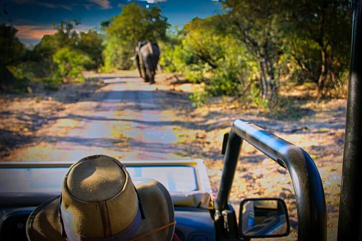Early-Morning Safari Game Drive in Zambezi National Park, Zimbabwe photo 2