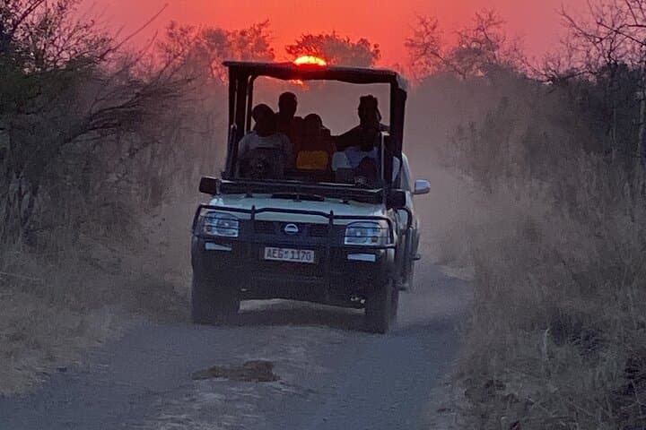 Early-Morning Safari Game Drive in Zambezi National Park, Zimbabwe photo 3