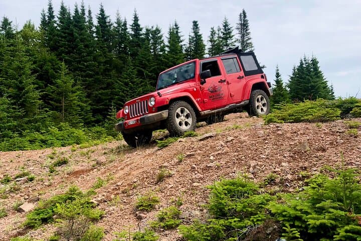 Off-Road Cape Breton: Private Margaree Valley Jeep Adventure (4 hr) photo 4