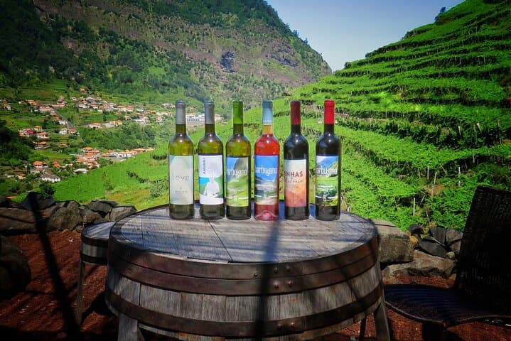Madeira Wine and Cabo Girão Jeep Safari — Wine Tasting & Skywalk Tour