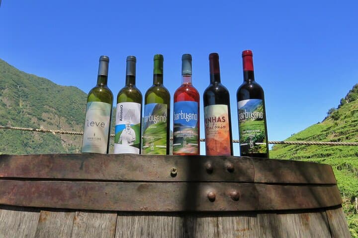 4x4 Adventure and Cabo Girão Skywalk with Wine & Tapas in Madeira