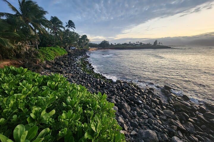 Haleakalā Sunset Spectacle: Private Sunset Tour and Upcountry Dinner on Maui photo 5