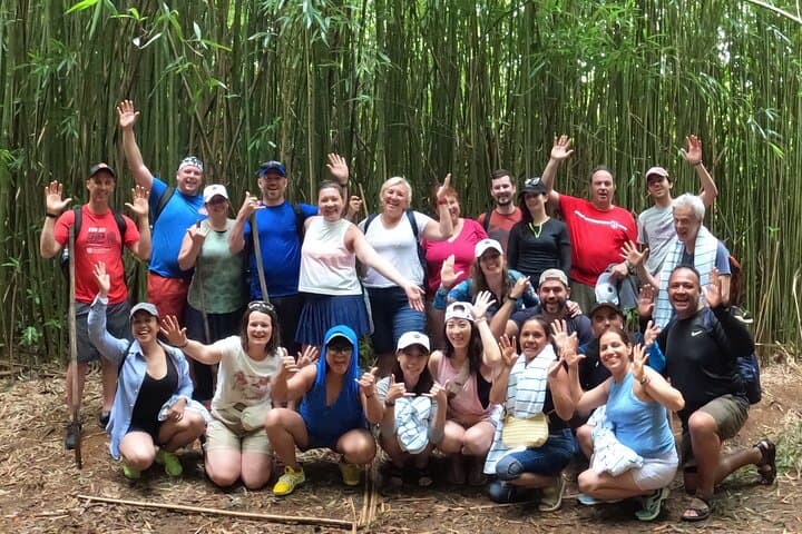 Jungle Waterfall Adventure on Maui — Waterfalls, Cliff Jumps & Bamboo Forest Hike photo 4