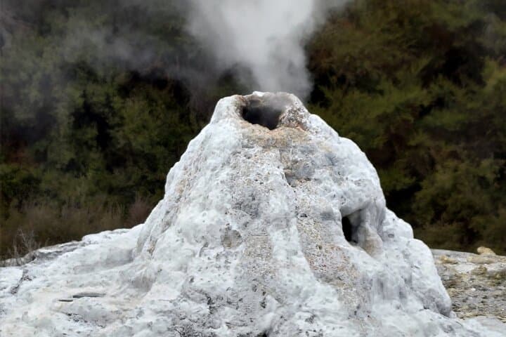 Auckland to Rotorua, Taupo & Huka Falls — Private Day Tour photo 4