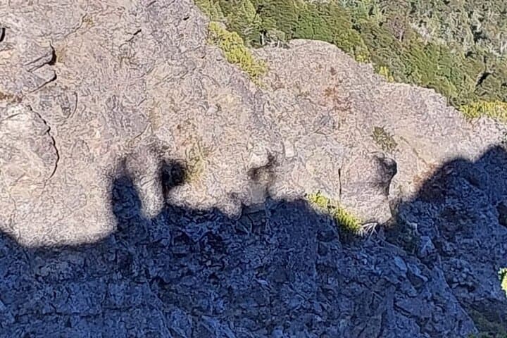 Hike and Paraglide Cerro Goye — Coihue Forest Trek with Tandem Flight Over Bariloche photo 3