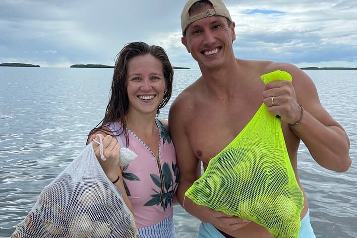 Crystal River Private Guided Scallop Hunt and Snorkeling Adventure