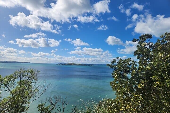 Private Half-Day: Auckland's Top 5 Sights — Westhaven to Mt Eden photo 5