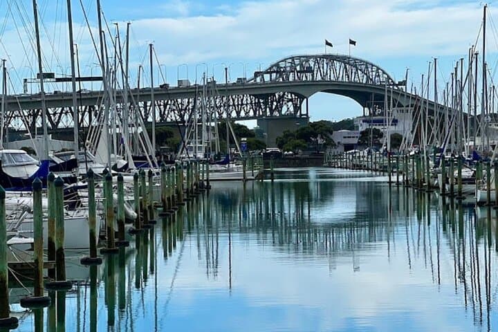 Private Half-Day: Auckland's Top 5 Sights — Westhaven to Mt Eden photo 6