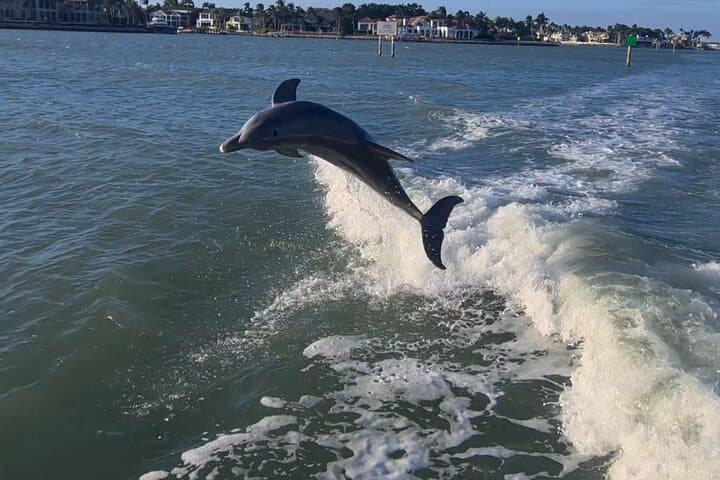 Naples Bay Sunset Cruise: Charcuterie, Wine & Dolphin-Spotting photo 4