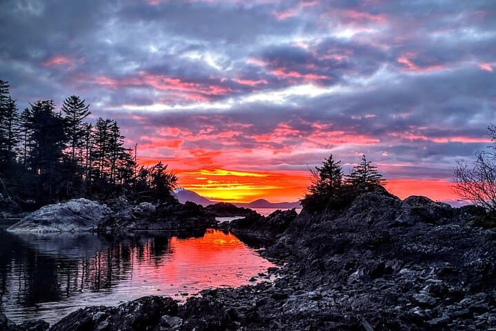 Private Island Day Trip from Sitka: Mertz Island Exclusive Adventure photo 3