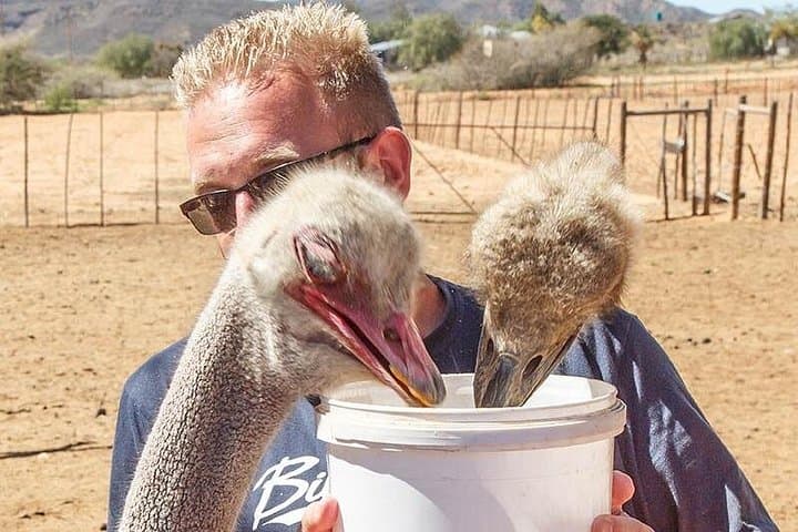 2-Day Private Garden Route Adventure from Cape Town: Bungee, Caves & Tsitsikamma photo 4