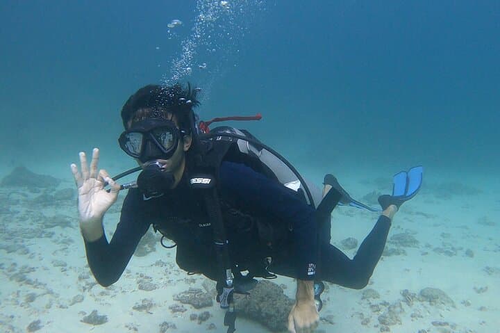 Scuba Diving in Muscat: Day Dives to Coral Reefs and Turtles photo 4