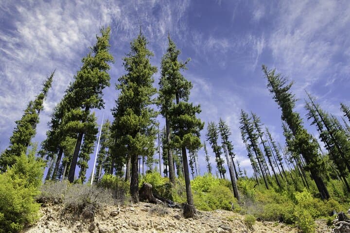 Big Sky Drive Self-Guided Audio Tour: Scenic U.S. 191 from West Yellowstone to Bozeman photo 6