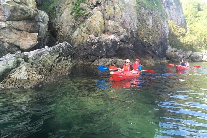 Sea-Cave Kayak Safari: Wildlife & Bushcraft in the English Riviera photo 2