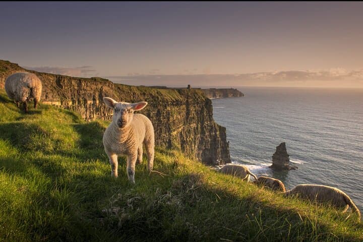 Day Trip from Dublin to Cliffs of Moher, Ennis & Bunratty Castle photo 4