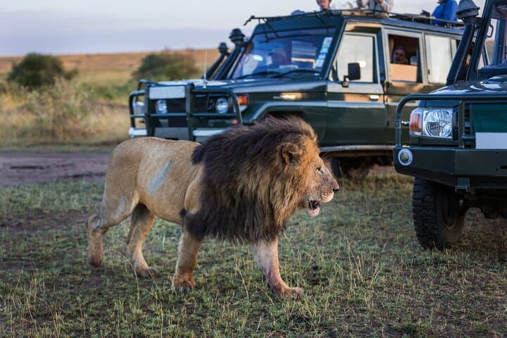 9-Day Tanzania Safari: Arusha, Tarangire, Manyara, Serengeti & Ngorongoro
