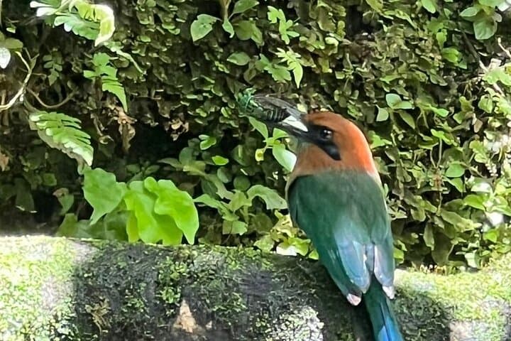 La Fortuna to Monteverde Private Transfer — Scenic Route Along Lake Arenal photo 4