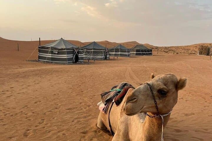 Luxury Overnight 4WD Desert Safari in Salalah's Empty Quarter photo 3