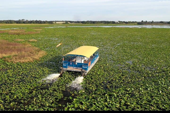 90-Minute Everglades Pontoon Eco Tour from Kissimmee