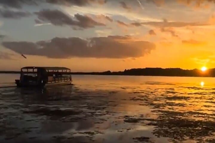 90-Minute Everglades Pontoon Eco Tour from Kissimmee photo 6