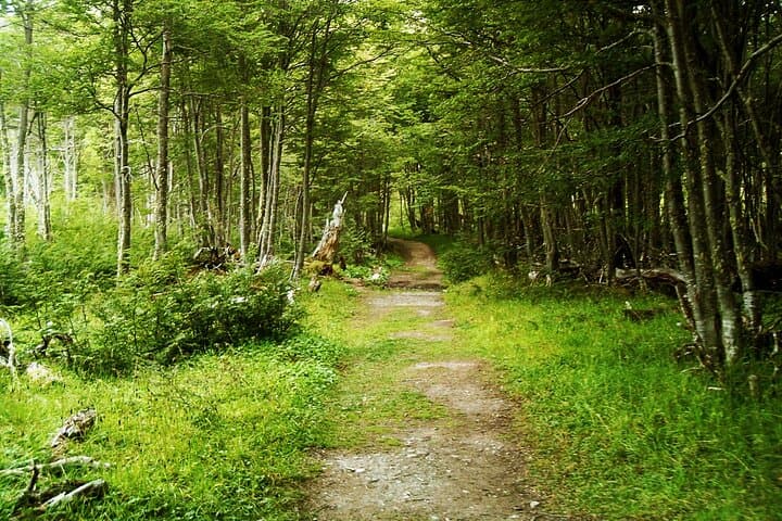 Trekking to Laguna Esmeralda (Emerald Lagoon): Day Hike from Ushuaia photo 4
