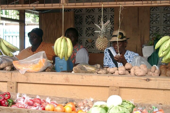 Design Your Own Tobago Tour — Custom Island Adventure photo 5