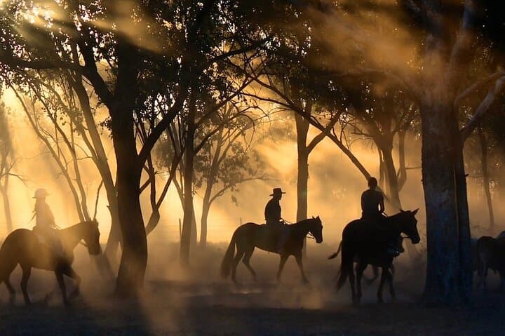 Sunset Champagne & Charcuterie Horseback Ride at Lake Louisa photo 6