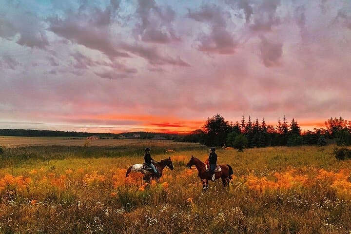 Sunset Champagne & Charcuterie Horseback Ride at Lake Louisa