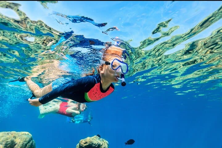 Snorkel the Underwater Sculpture Park in Little Bay, Sint Maarten photo 4