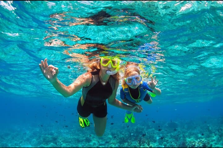 Snorkel the Underwater Sculpture Park in Little Bay, Sint Maarten photo 2