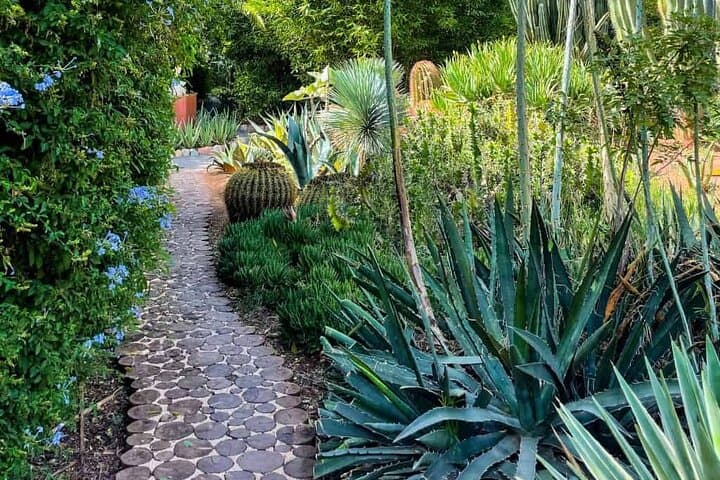 Anima Garden Marrakech: André Heller's Botanical Sculpture Park & Tickets