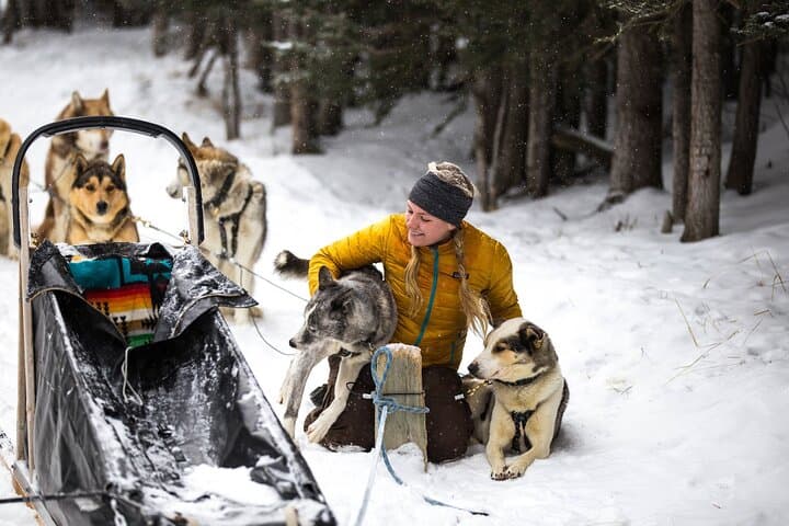 Full-Day Lake Louise & Icefields Parkway Winter Tour: Skating, Sleds & Scenic Stops photo 5