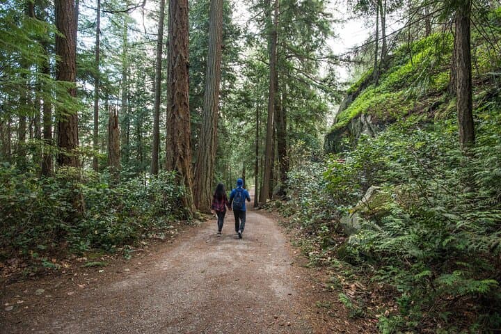 Kelowna Guided Hiking: Iconic Okanagan Trails & Waterfalls photo 3