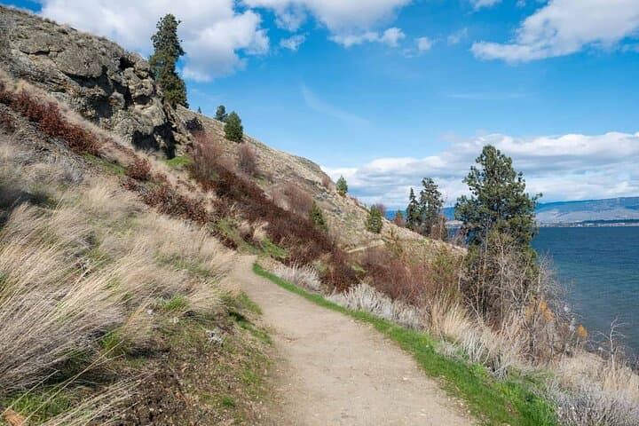 Kelowna Guided Hiking: Iconic Okanagan Trails & Waterfalls photo 6