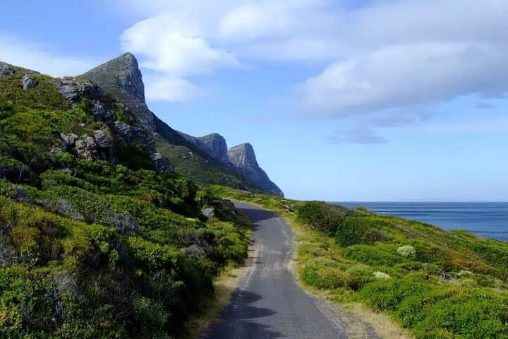 3 Days Private Wildlife Safari and Garden Route from Cape Town photo 4