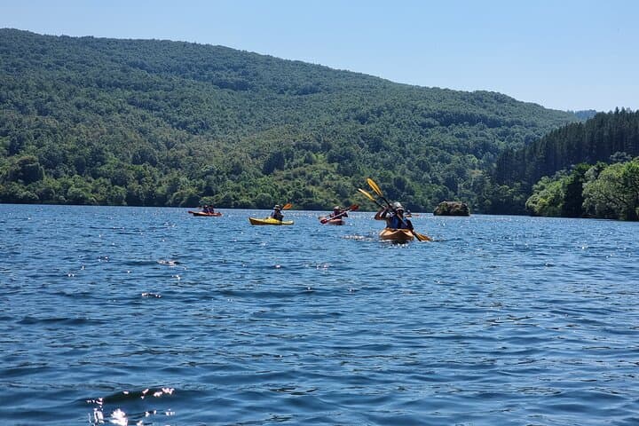 Private Kayak Tour at Pchelina Dam — 4‑Hour Guided Kayaking Near Sofia