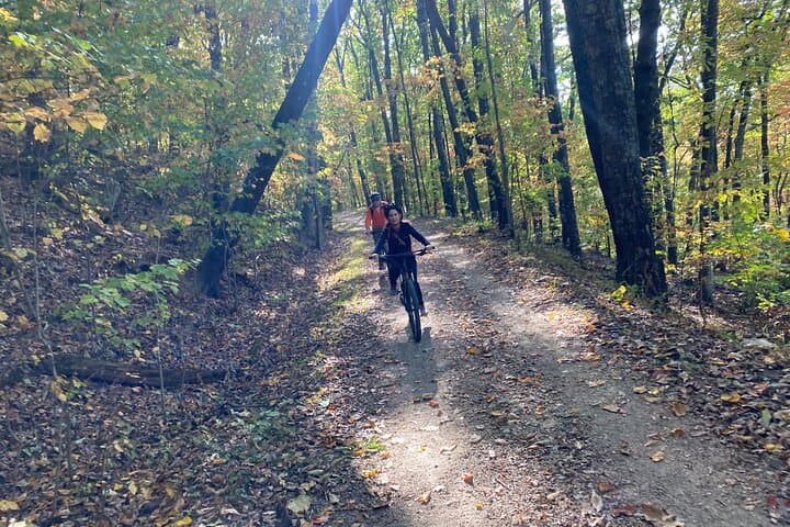 Chattanooga Mountain Bike Rentals & Local Trail Guide photo 5