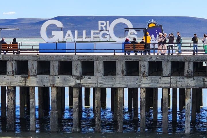 Magellanic Penguins at Cabo Vírgenes — Full-Day Tour from Punta Arenas photo 3
