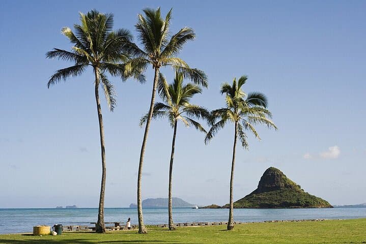 Oahu Circle Island Tour: Private 9–10 Hour Trip from Diamond Head to the North Shore photo 4