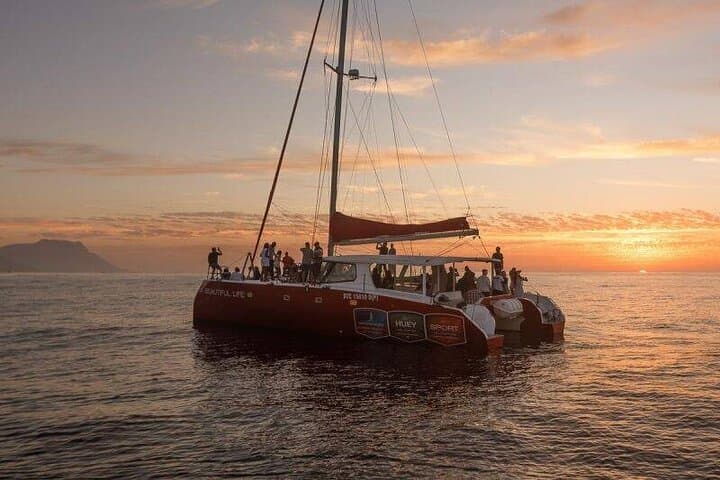 Soar Over Cape Town: Paragliding, Table Mountain City Tour & Sunset Cruise photo 2